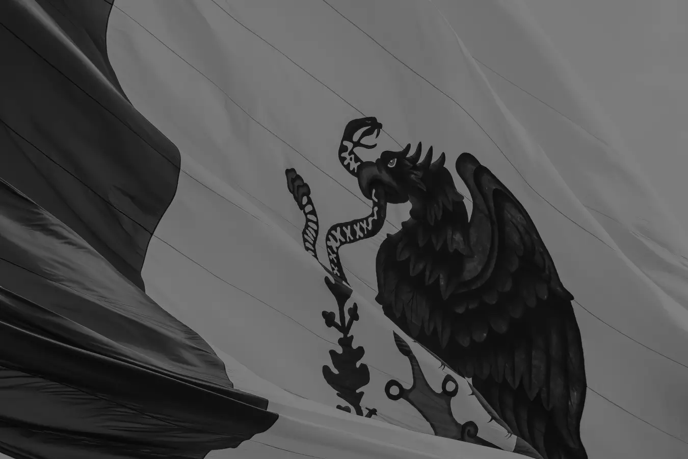 Mexican flag in black and white