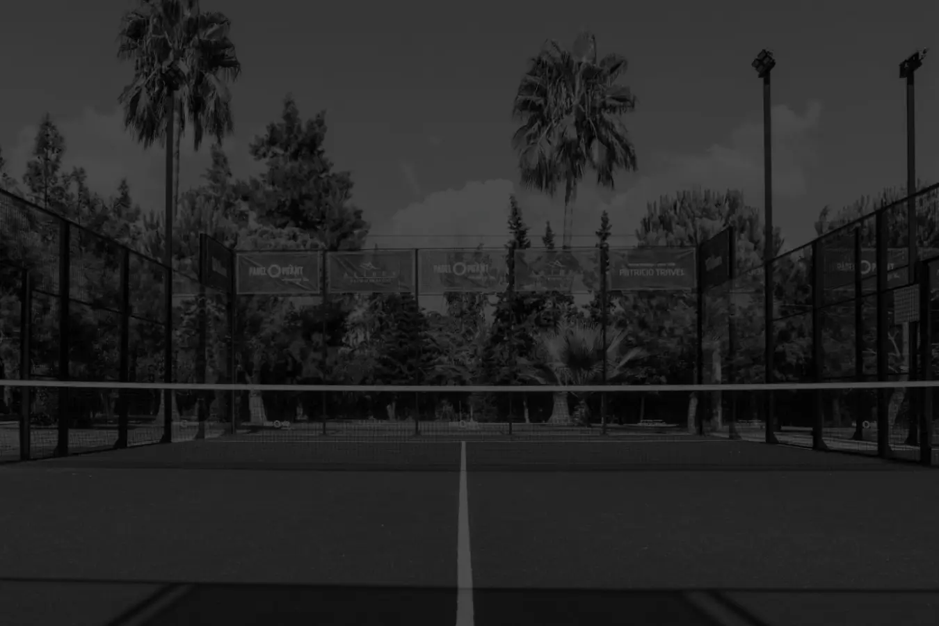 Empty padel court with palm trees, in black and white